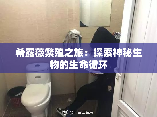希露薇繁殖之旅：探索神秘生物的生命循环