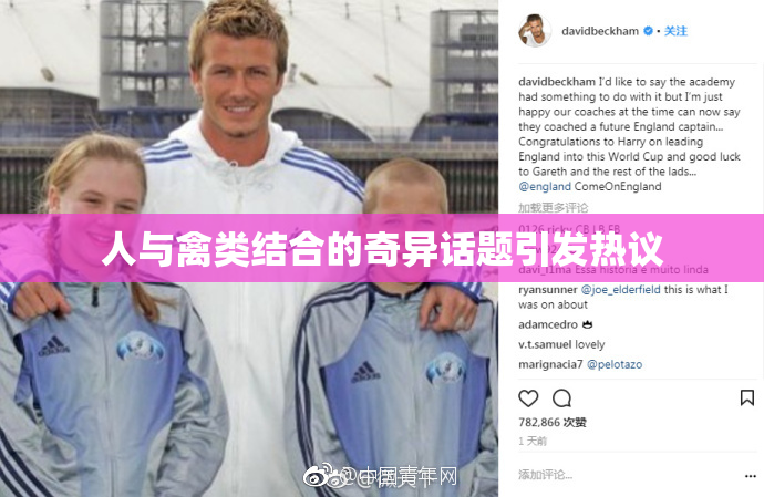 人与禽类结合的奇异话题引发热议