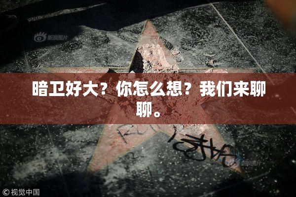 暗卫好大？你怎么想？我们来聊聊。