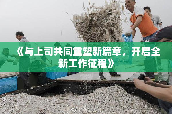 《与上司共同重塑新篇章，开启全新工作征程》