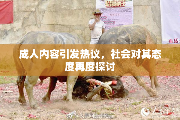 成人内容引发热议，社会对其态度再度探讨