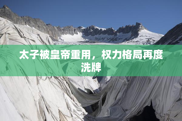 太子被皇帝重用，权力格局再度洗牌