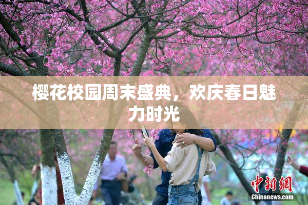 樱花校园周末盛典，欢庆春日魅力时光