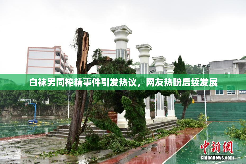 白袜男同榨精事件引发热议，网友热盼后续发展
