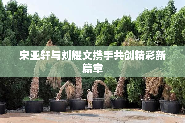 宋亚轩与刘耀文携手共创精彩新篇章