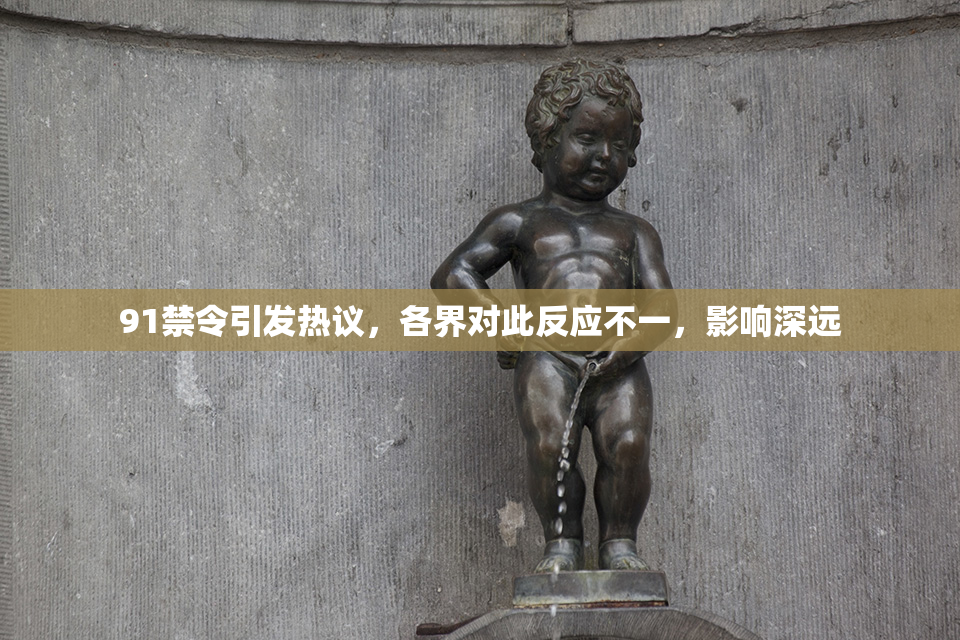 91禁令引发热议，各界对此反应不一，影响深远