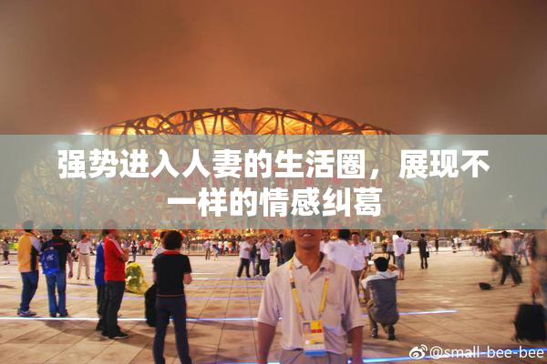 强势进入人妻的生活圈，展现不一样的情感纠葛