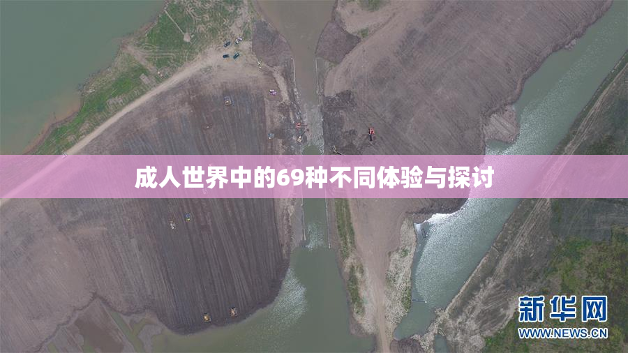 成人世界中的69种不同体验与探讨