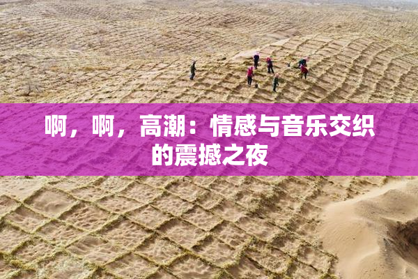 啊，啊，高潮：情感与音乐交织的震撼之夜