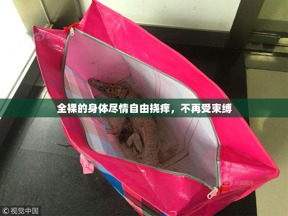 全裸的身体尽情自由挠痒，不再受束缚