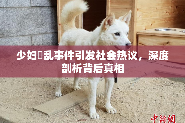 少妇婬乱事件引发社会热议，深度剖析背后真相