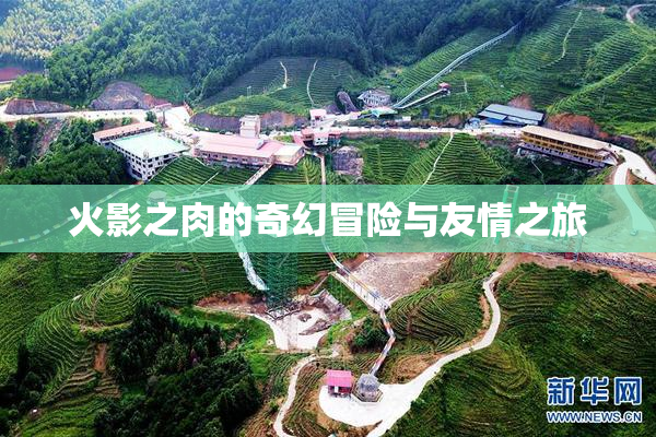 火影之肉的奇幻冒险与友情之旅
