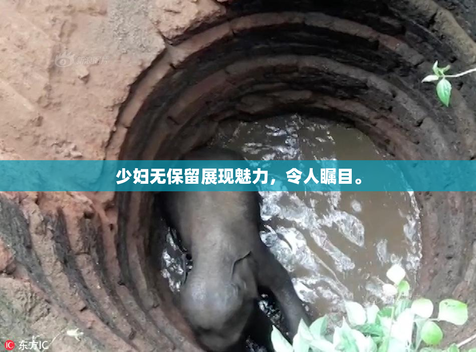 少妇无保留展现魅力，令人瞩目。