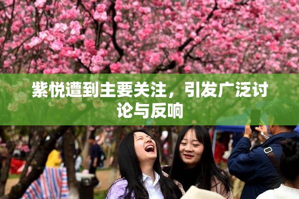 紫悦遭到主要关注，引发广泛讨论与反响