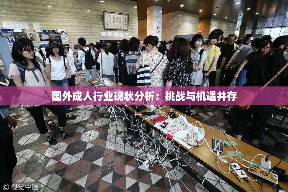 国外成人行业现状分析：挑战与机遇并存