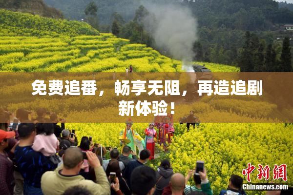 免费追番，畅享无阻，再造追剧新体验！