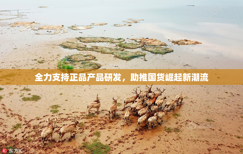 全力支持正品产品研发，助推国货崛起新潮流