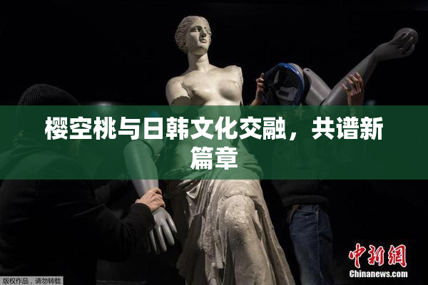 樱空桃与日韩文化交融，共谱新篇章