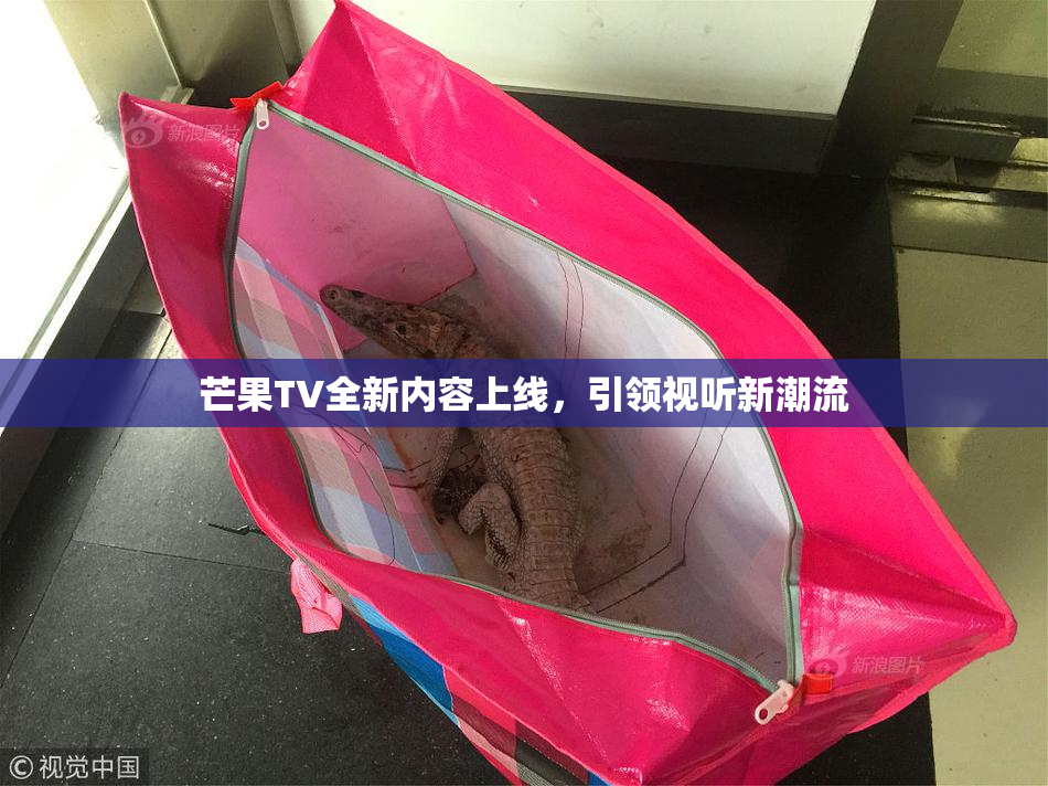 芒果TV全新内容上线，引领视听新潮流