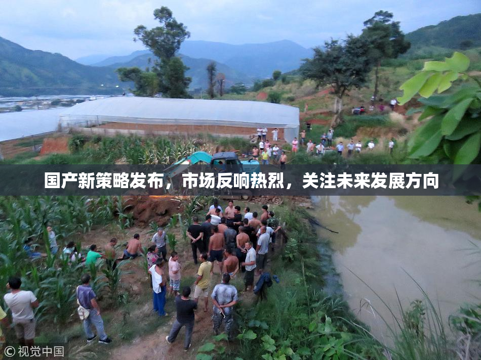 国产新策略发布，市场反响热烈，关注未来发展方向
