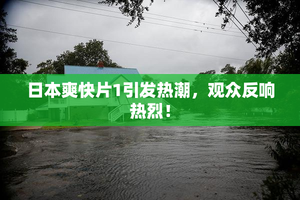 日本爽快片1引发热潮，观众反响热烈！