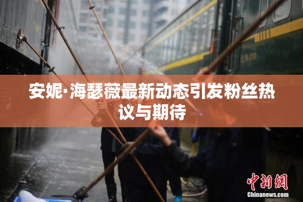 安妮·海瑟薇最新动态引发粉丝热议与期待