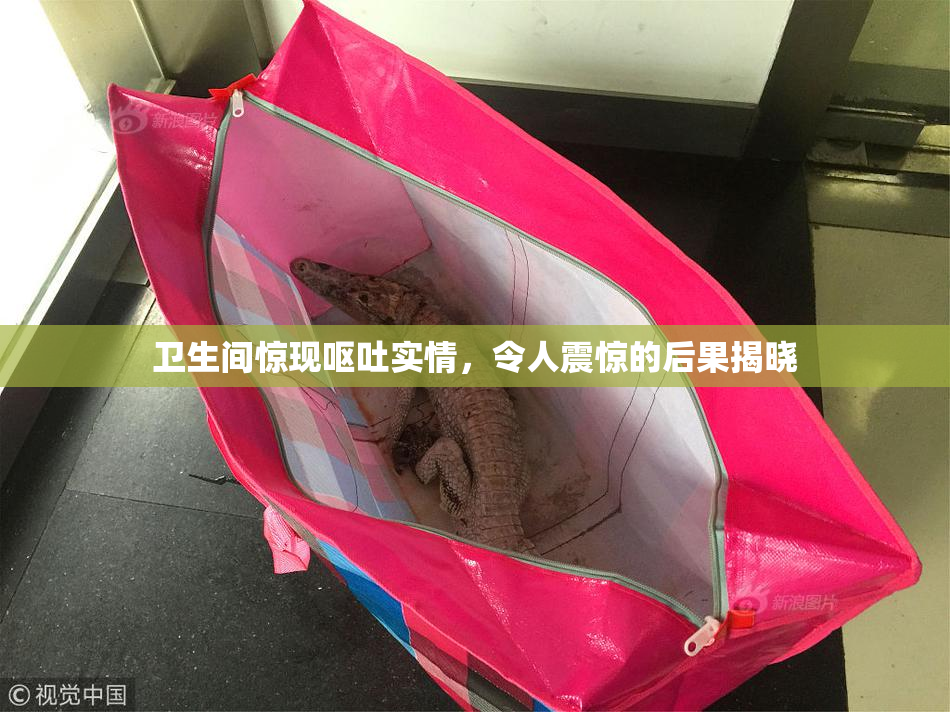 卫生间惊现呕吐实情，令人震惊的后果揭晓
