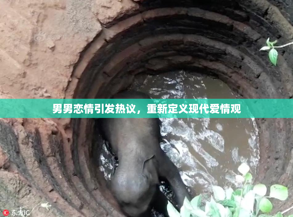 男男恋情引发热议，重新定义现代爱情观