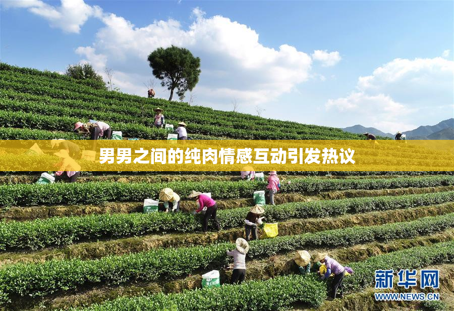 男男之间的纯肉情感互动引发热议