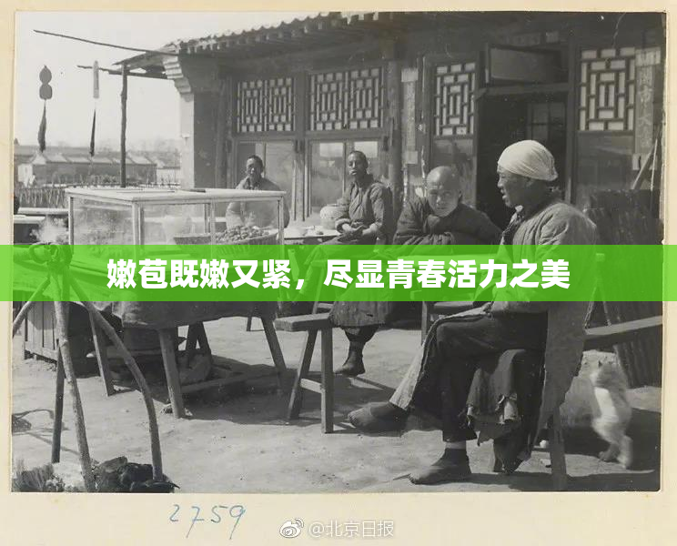 嫩苞既嫩又紧，尽显青春活力之美