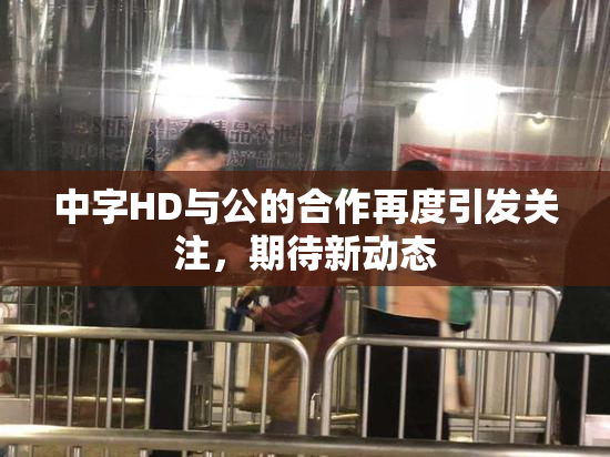 中字HD与公的合作再度引发关注，期待新动态