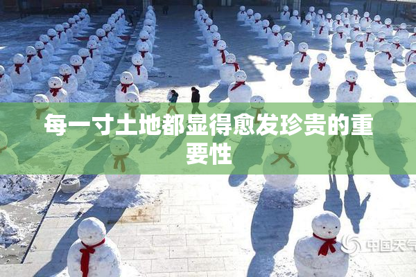 每一寸土地都显得愈发珍贵的重要性