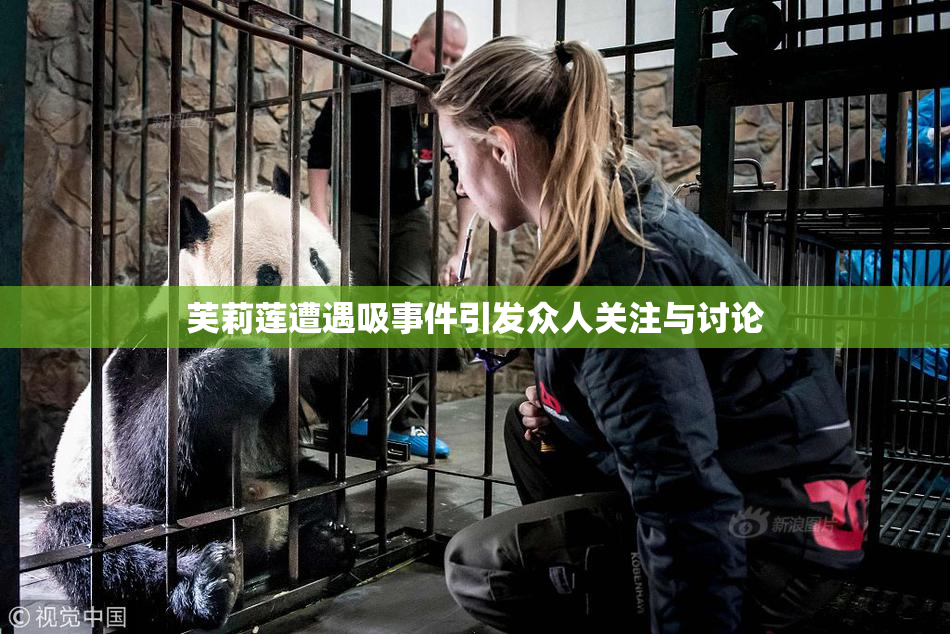 芙莉莲遭遇吸事件引发众人关注与讨论