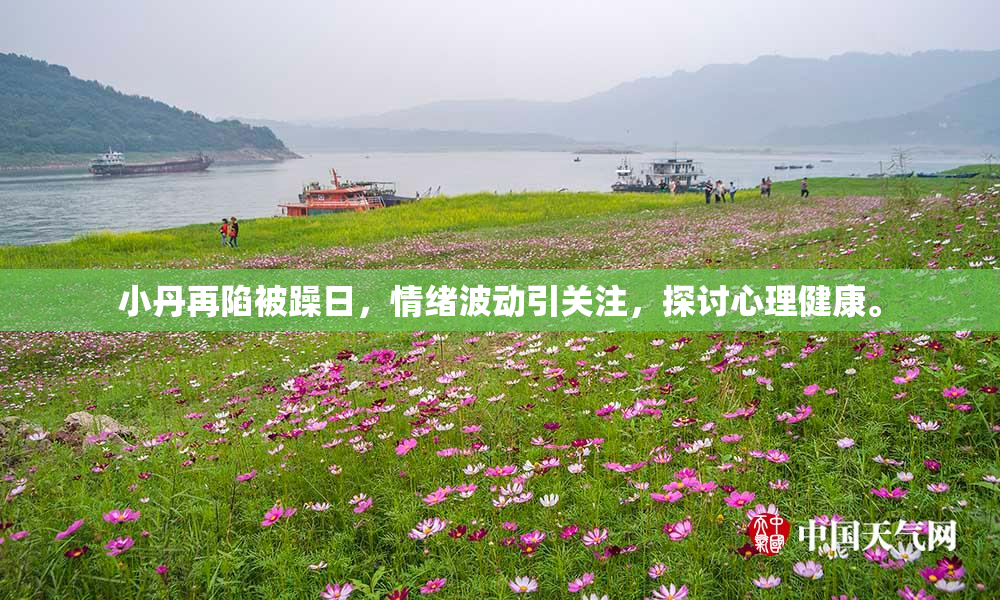小丹再陷被躁日，情绪波动引关注，探讨心理健康。