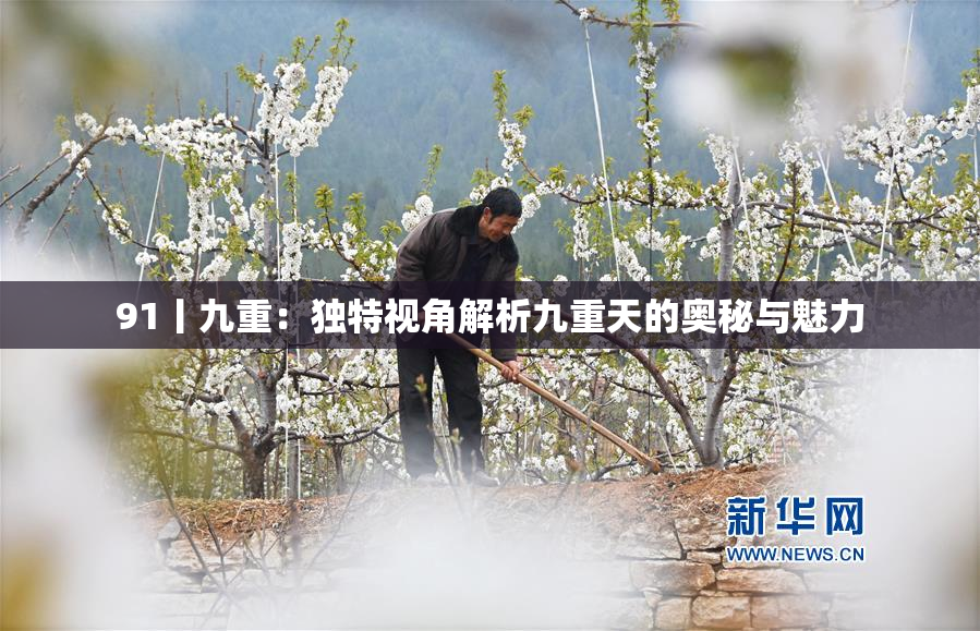 91丨九重：独特视角解析九重天的奥秘与魅力