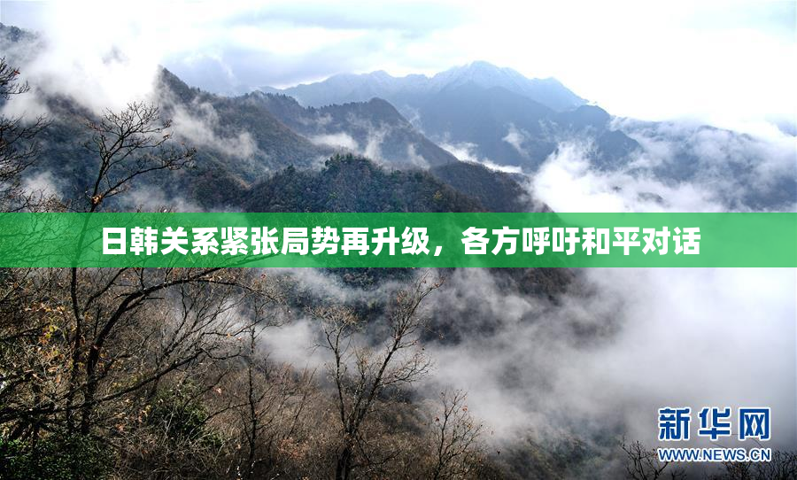 日韩关系紧张局势再升级，各方呼吁和平对话