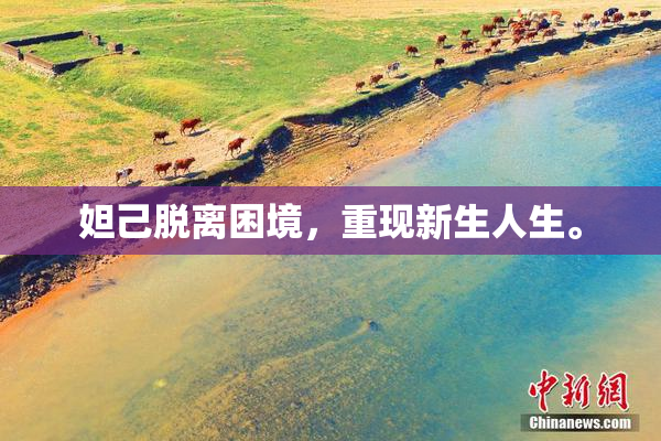 妲己脱离困境，重现新生人生。