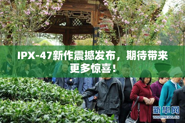 IPX-47新作震撼发布，期待带来更多惊喜！