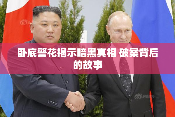 卧底警花揭示暗黑真相 破案背后的故事