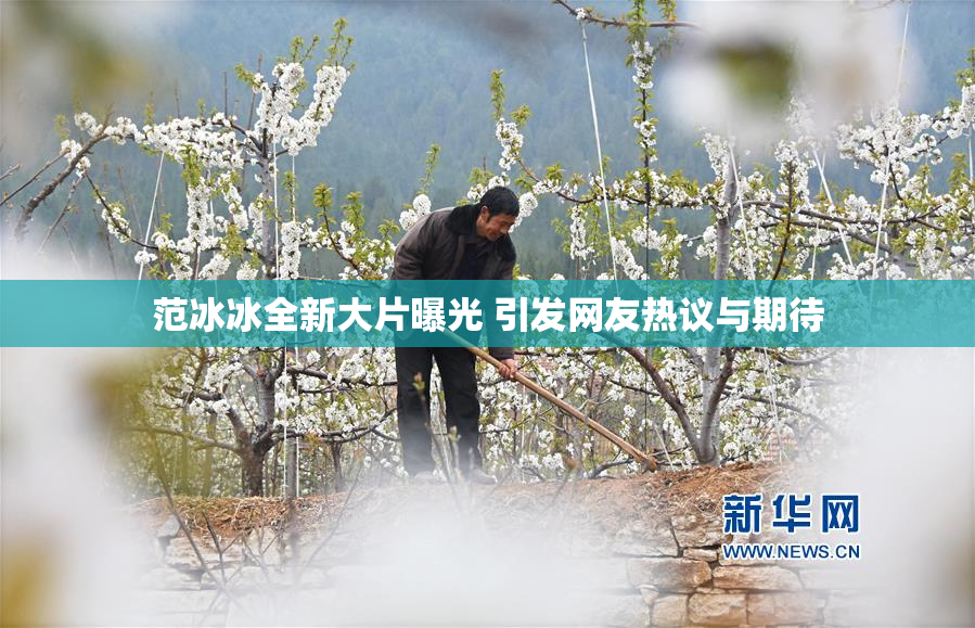 范冰冰全新大片曝光 引发网友热议与期待