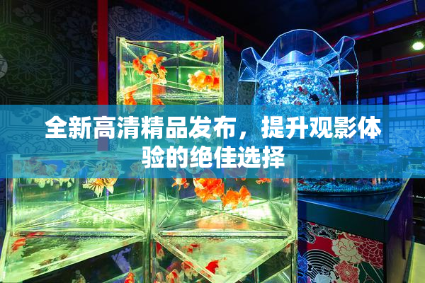 全新高清精品发布，提升观影体验的绝佳选择