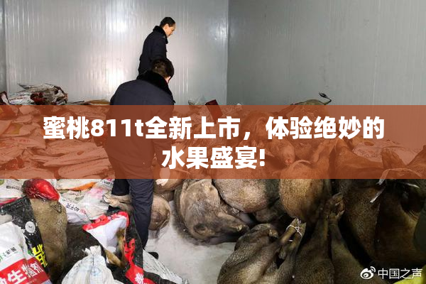 蜜桃811t全新上市，体验绝妙的水果盛宴!
