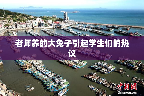 老师养的大兔子引起学生们的热议
