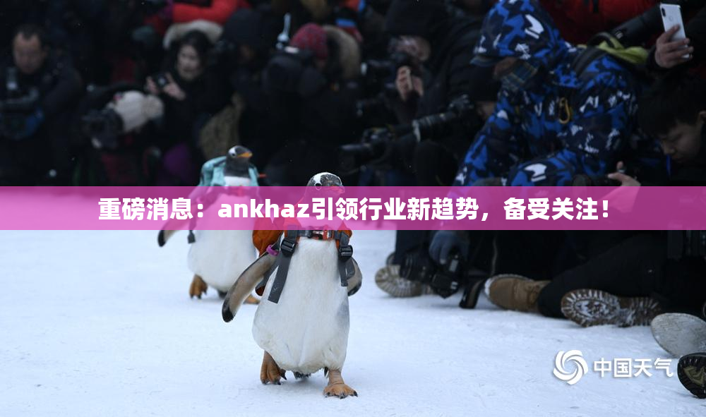 重磅消息：ankhaz引领行业新趋势，备受关注！