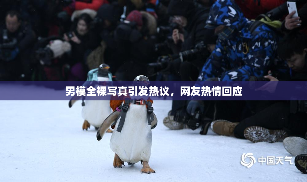 男模全裸写真引发热议，网友热情回应