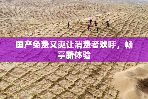 国产免费又爽让消费者欢呼，畅享新体验