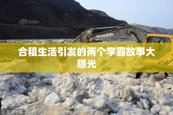 合租生活引发的两个学霸故事大曝光