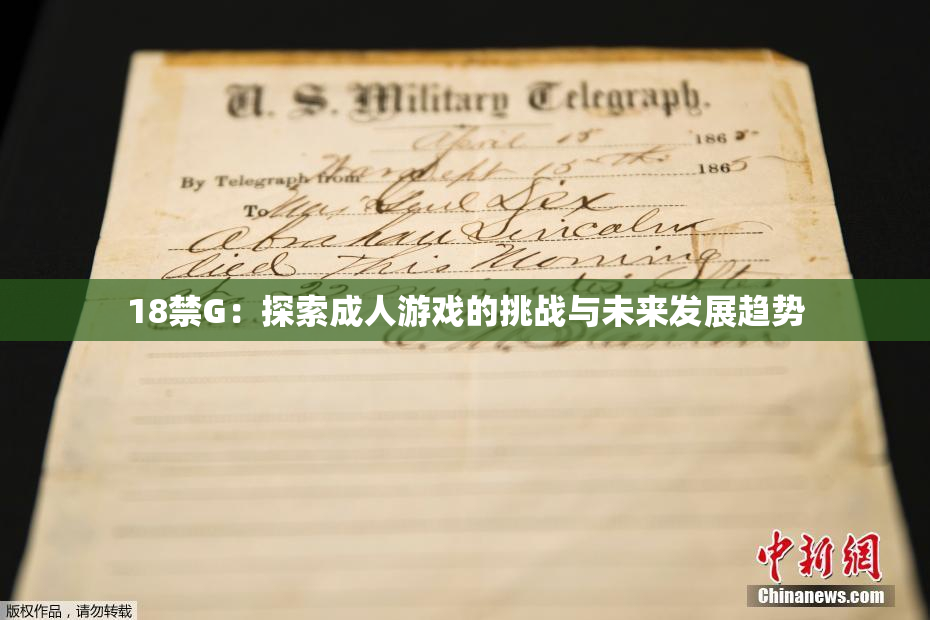 18禁G：探索成人游戏的挑战与未来发展趋势