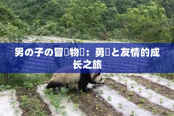 男の子の冒険物語：勇気と友情的成长之旅