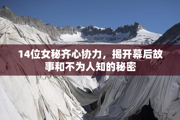 14位女秘齐心协力，揭开幕后故事和不为人知的秘密